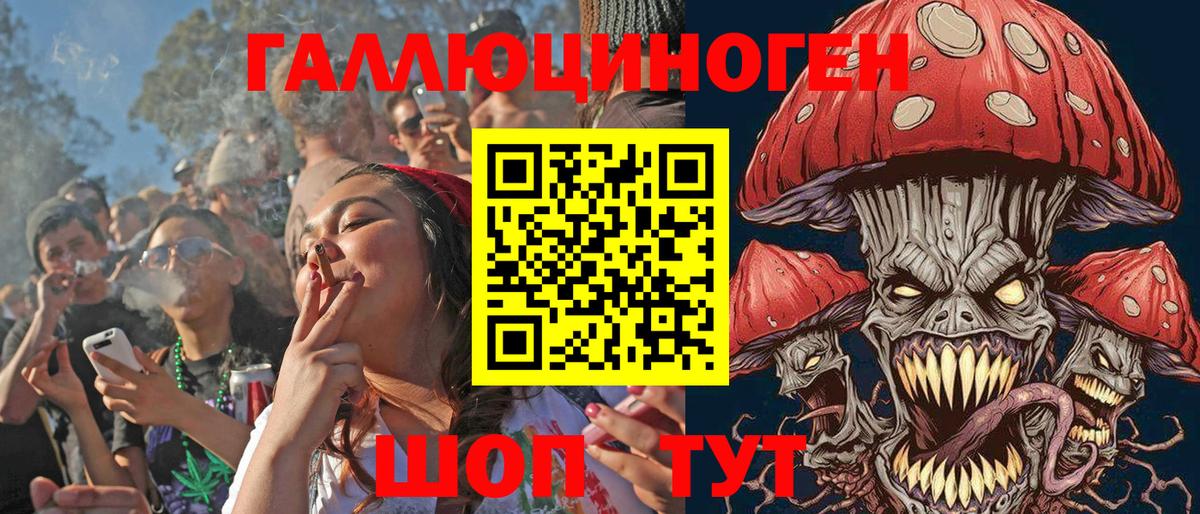 Алексин  Псилоцибиновые грибы Magic Shrooms  Вход с VPN  Псилоцибиновые грибы Psilocybe 